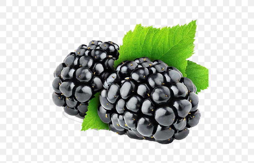 Blackberry Raspberry Amora Fruit, PNG, 527x526px, Blackberry, Amora, Auglis, Berry, Bilberry Download Free