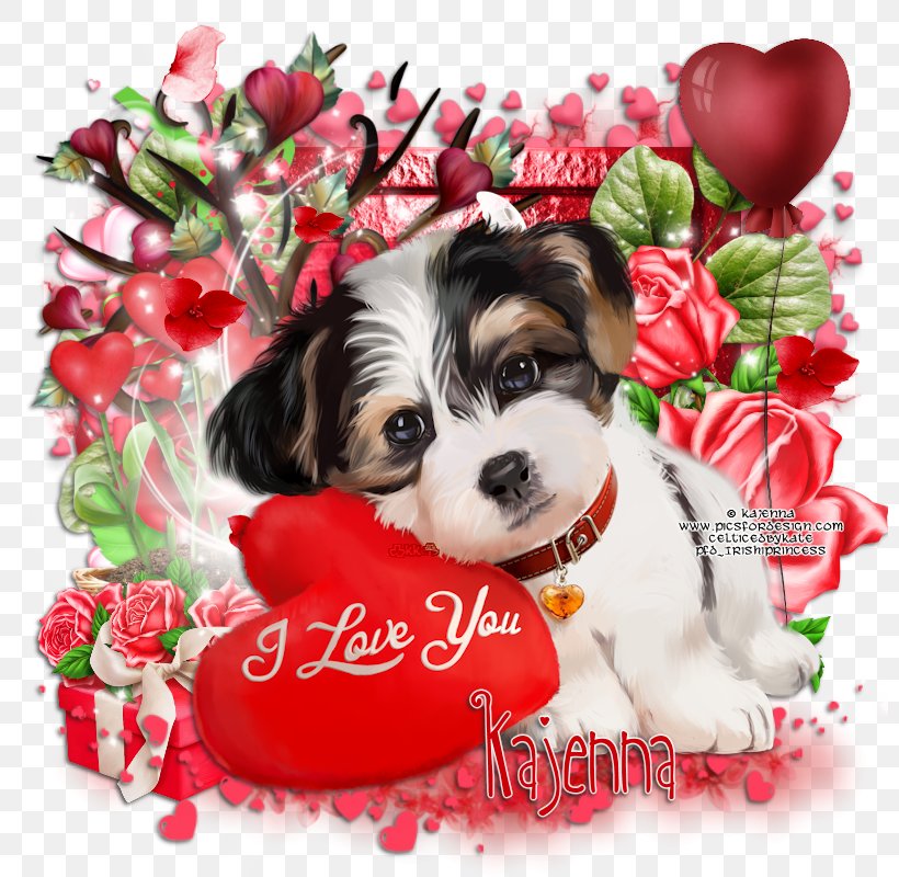 Cavachon Shih Tzu Havanese Dog Puppy Dog Breed, PNG, 800x800px, Cavachon, Breed, Carnivoran, Christmas Ornament, Companion Dog Download Free