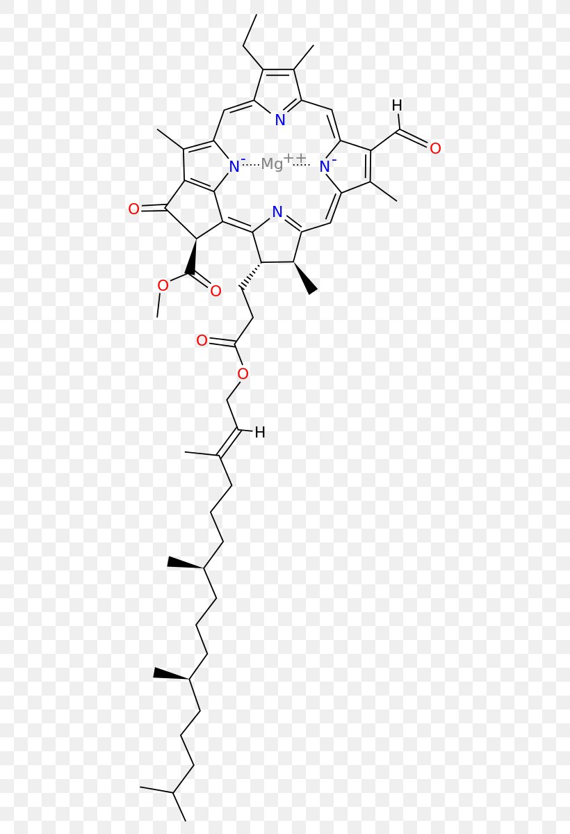 Chlorophyll A Chlorophyll B Chlorophyll C2 Chlorophyll C1, PNG, 492x1199px, Chlorophyll, Acetone, Area, Carotene, Chlorophyll A Download Free
