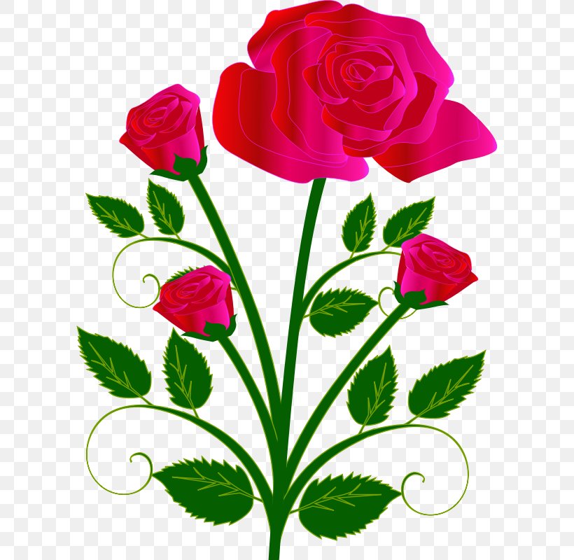 Flower Garden Roses Clip Art, PNG, 800x800px, Flower, Annual Plant, Cut Flowers, Flora, Floral Design Download Free