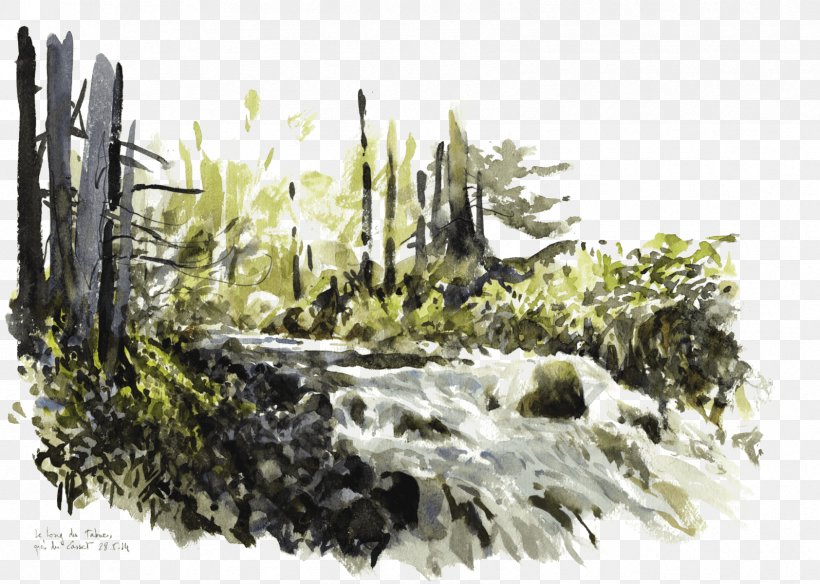 Water Torrent Drawing River, PNG, 1684x1200px, Water, Alluvium, Drawing, Fire Salamander, Flora Download Free