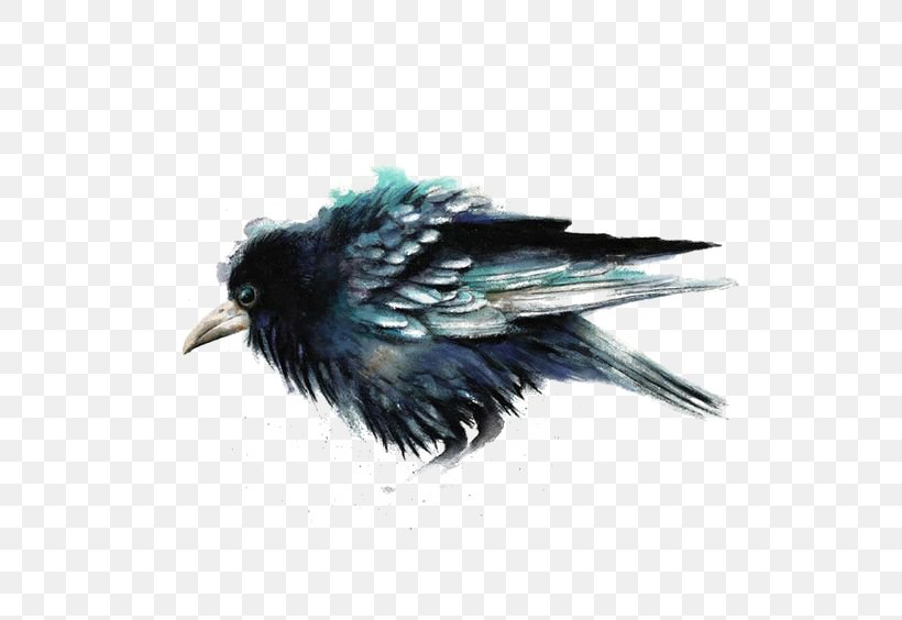 Common Raven Watercolor Painting Printmaking Bird, PNG, 564x564px, Common Raven, Art, Beak, Bird, Crow Like Bird Download Free