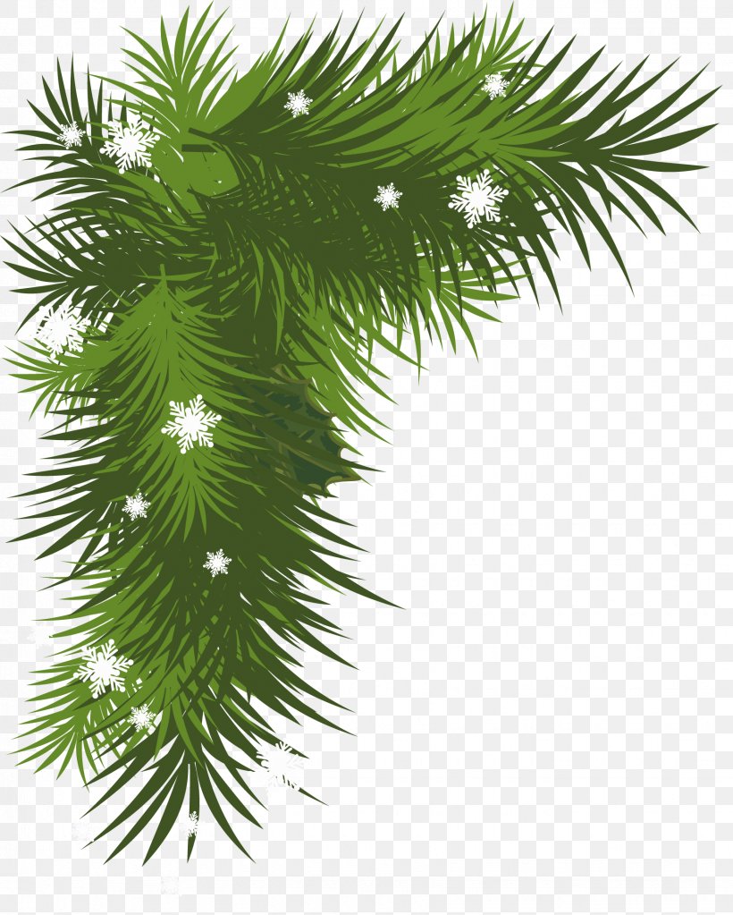 Christmas Decoration Christmas Tree Clip Art, PNG, 1745x2179px, Branch, Arecales, Borassus Flabellifer, Christmas, Christmas Decoration Download Free