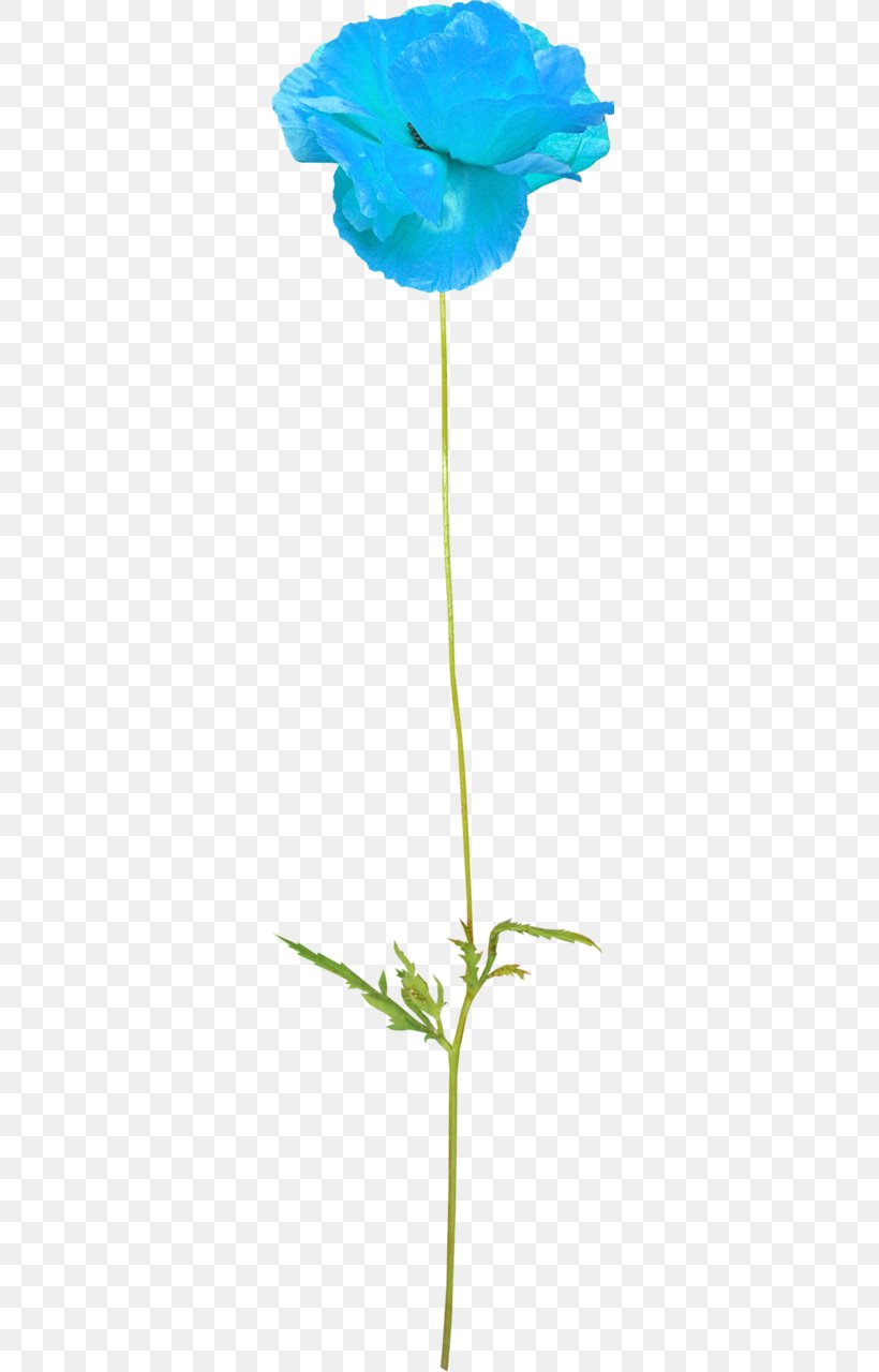 Flower Photography Clip Art, PNG, 327x1280px, Flower, Blue, Blume, Cut Flowers, Flora Download Free