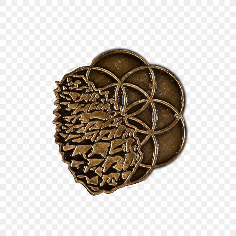 Pineal Gland Conifer Cone Clothing Accessories, PNG, 2000x2000px, Pineal Gland, Brass, Chemical Substance, Clothing Accessories, Conifer Cone Download Free