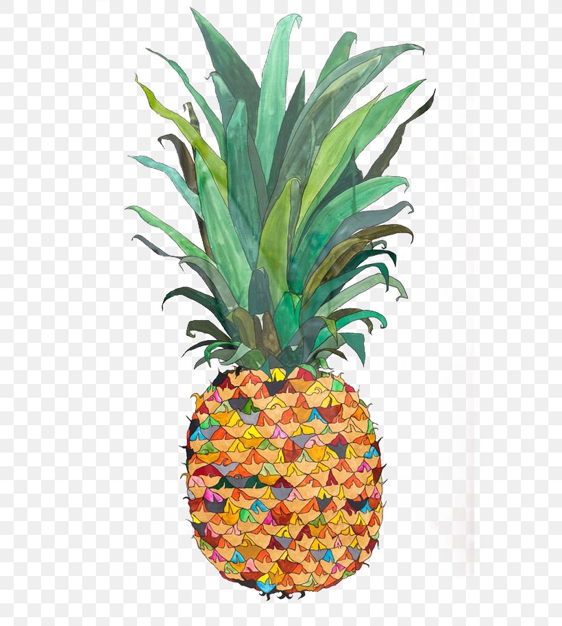 Pineapple Drawing Watercolor Painting Fruit Illustration, PNG, 564x913px, Pineapple, Ananas, Art, Bromeliaceae, Drawing Download Free