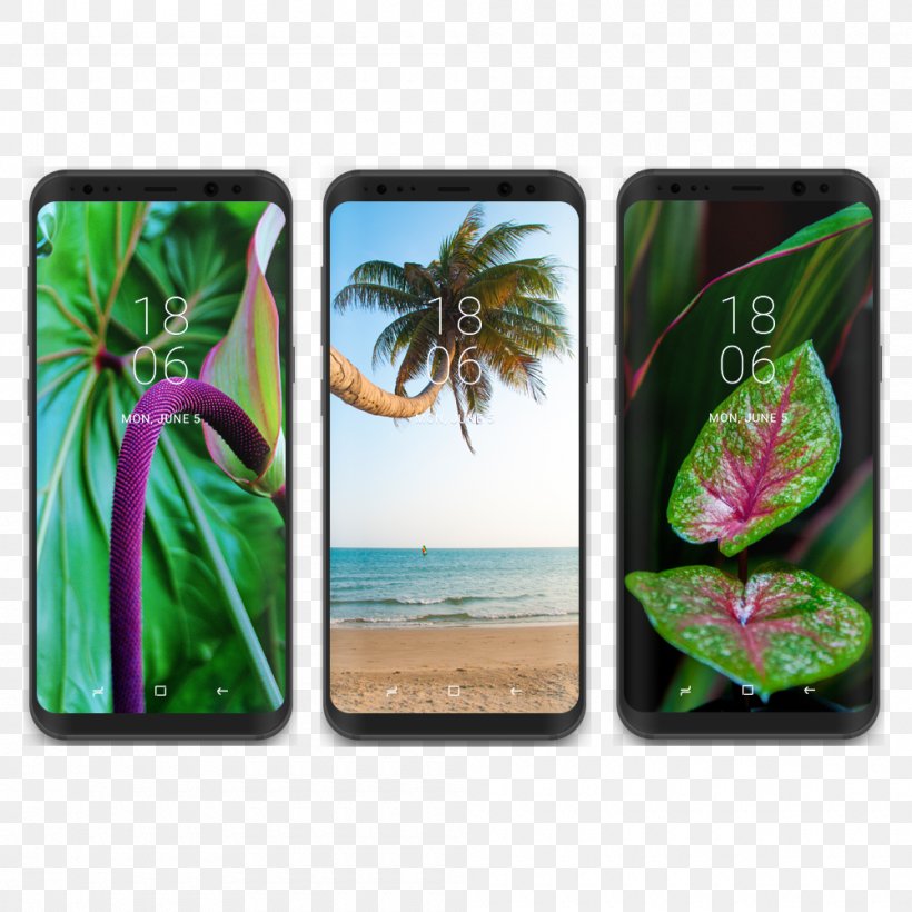 Samsung Galaxy S8+ Desktop Wallpaper Smartphone Wallpaper, PNG, 1000x1000px, Samsung Galaxy S8, Android, Display Resolution, Mobile Phones, Plant Download Free