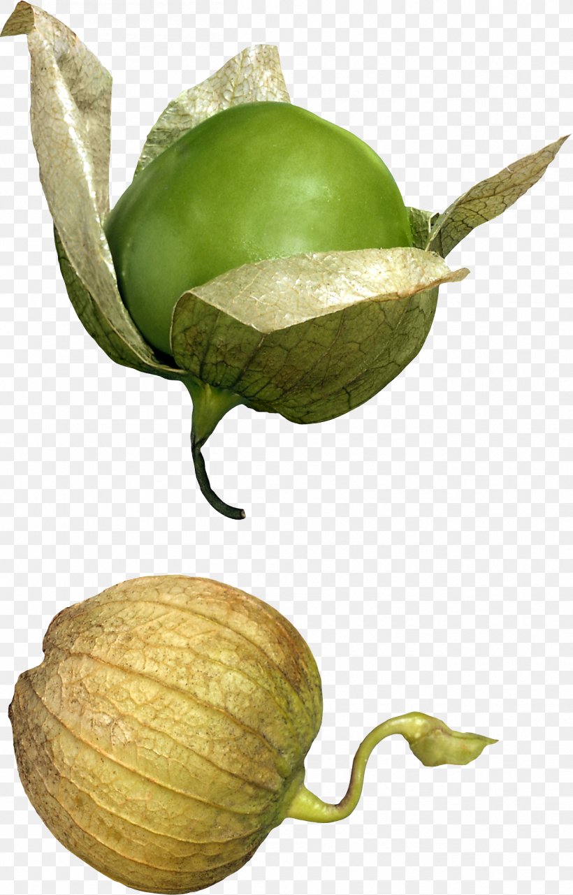 Tomatillo Mexican Cuisine Vegetable Food Fruit, PNG, 1305x2040px, Tomatillo, Berry, Commodity, Cuisine, Food Download Free