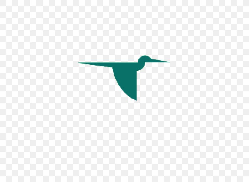 Bird Duck Goose Swan Logo, PNG, 800x600px, Bird, Anatidae, Beak, Brand, Ducks Geese And Swans Download Free