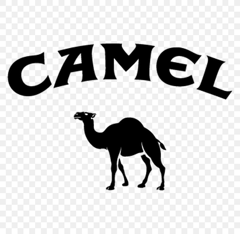 Dromedary Camel Crush Cigarette Joe Camel, PNG, 800x800px, Dromedary, Arabian Camel, Black And White, Business, Camel Download Free