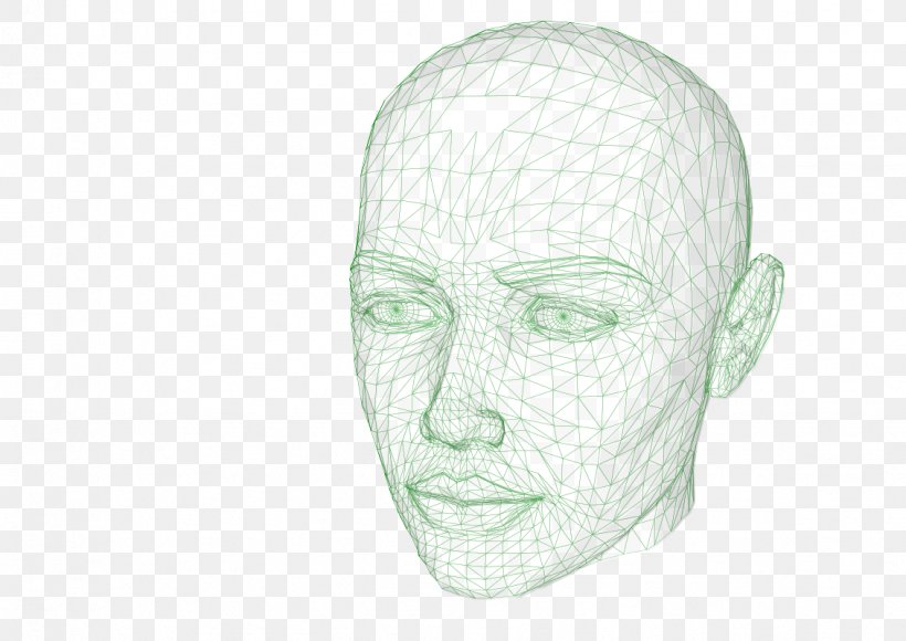 Human Head Drawing Clip Art, PNG, 1131x800px, Human Head, Bone, Brain, Drawing, Face Download Free
