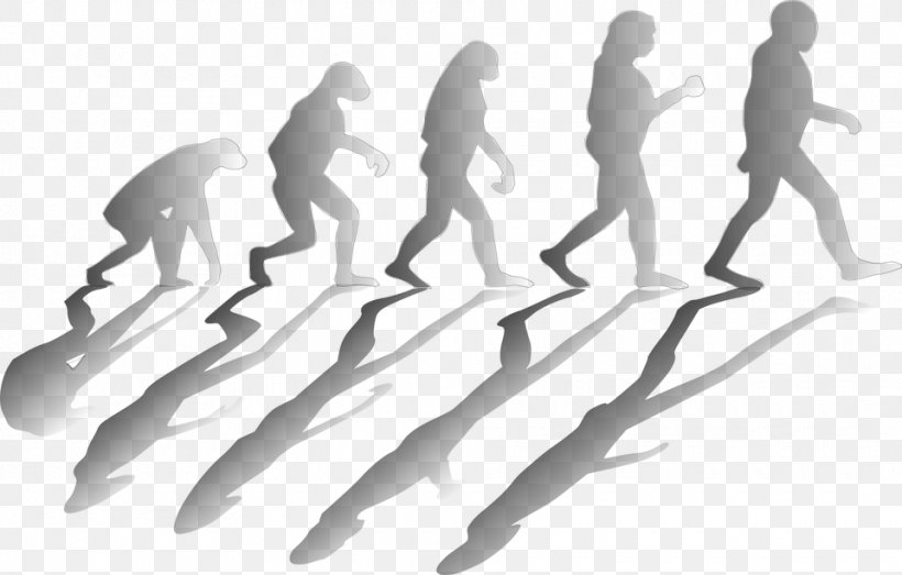 On Human Nature Person Evolution, PNG, 960x613px, Person, Arm, Black And White, Evolution, Finger Download Free