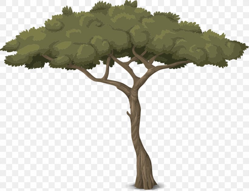 Branch Tree Trunk, PNG, 1280x982px, Branch, Aesculus, Arborist, Cedar, Grass Download Free