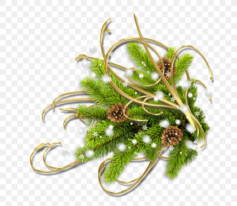 Clip Art, PNG, 800x716px, Christmas, Blog, Computer, Ded Moroz, Internet Download Free