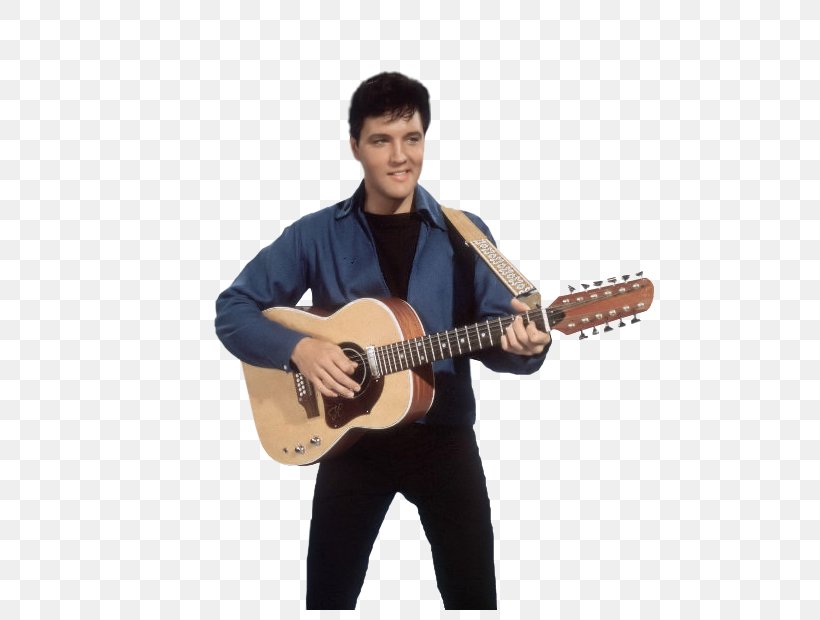 Elvis Presley Acoustic Guitar Spinout Electric Guitar Musician, PNG, 500x620px, Watercolor, Cartoon, Flower, Frame, Heart Download Free