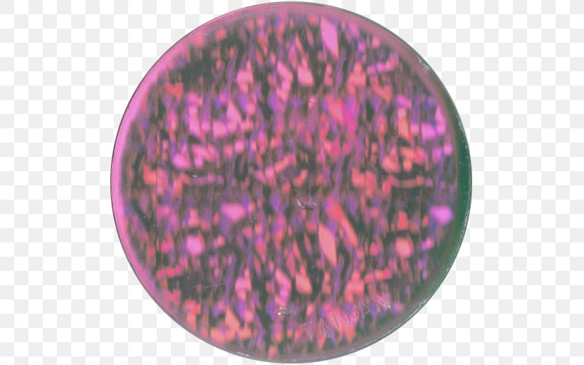 Organism Pink M, PNG, 512x512px, Organism, Magenta, Pink, Pink M, Purple Download Free