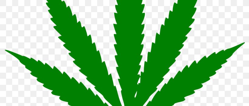 Medical Cannabis 420 Day Leaf Dispensary, PNG, 792x350px, 420 Day, Cannabis, Cannabis Smoking, Decal, Dispensary Download Free