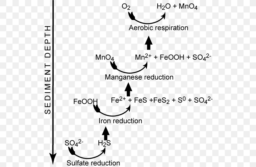 Redox Sediment Diagenesis Respiration Chemistry, PNG, 543x535px, Watercolor, Cartoon, Flower, Frame, Heart Download Free