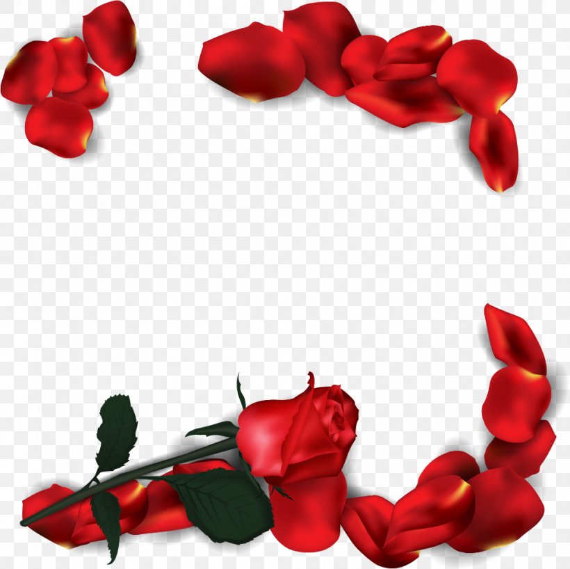 Romantic Rose Vector, PNG, 1002x1000px, Valentine S Day, Coreldraw, Cut Flowers, Flower, Flowering Plant Download Free