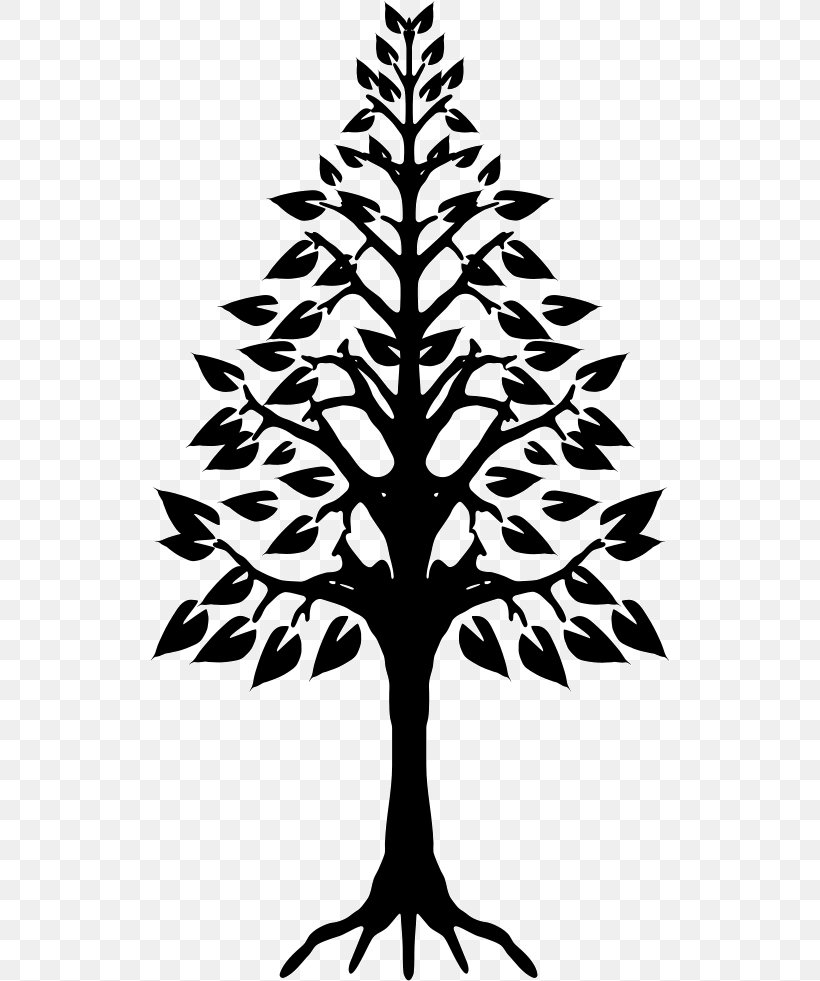 Tree Stump Arborist Stump Grinder Tree Planting, PNG, 520x981px, Tree, Arborist, Black And White, Branch, Conifer Download Free