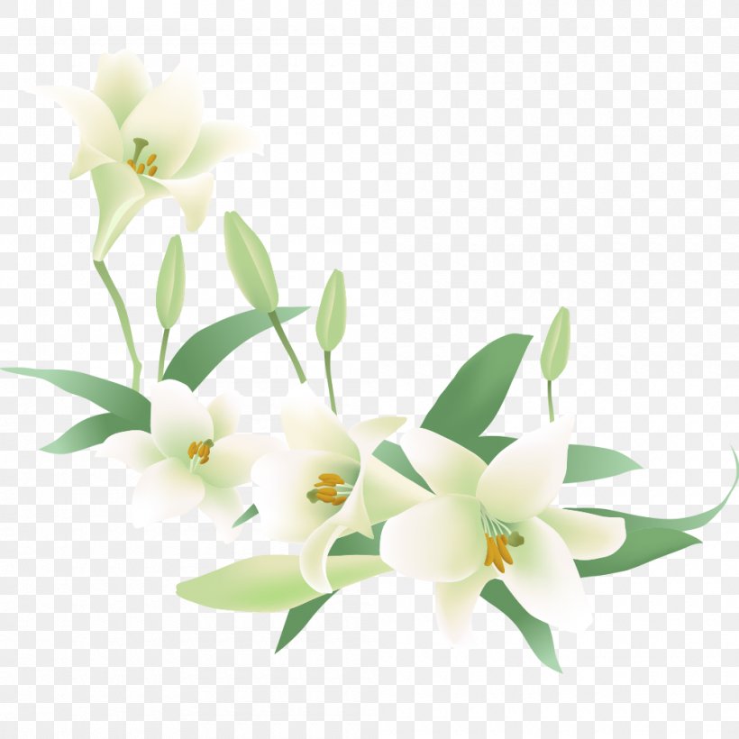 Vector Graphics Flower Clip Art Floral Design, PNG, 1000x1000px, Flower, Branch, Cattleya, Dendrobium, Floral Design Download Free