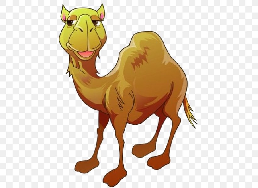 Bactrian Camel Dromedary Cartoon Clip Art, PNG, 600x600px, Bactrian Camel, Animal Figure, Animation, Arabian Camel, Camel Download Free