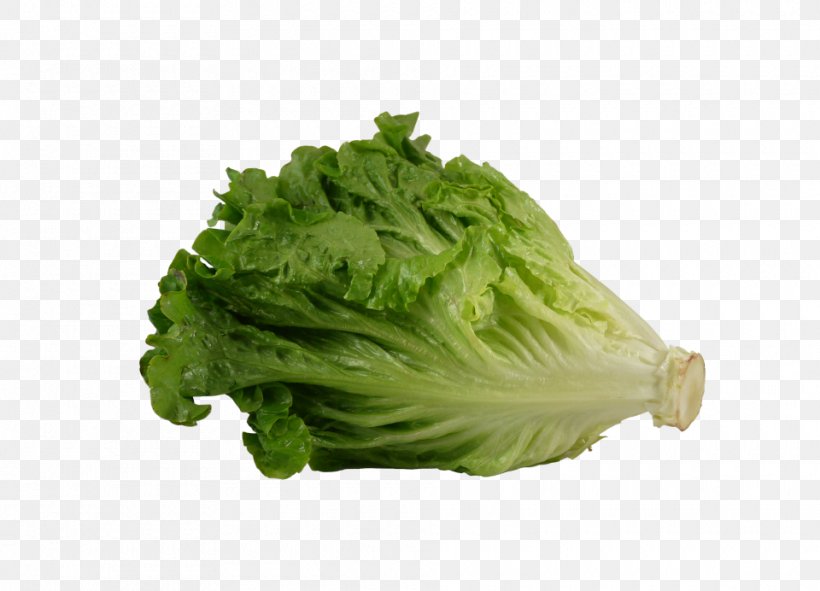 Greek Salad Leaf Lettuce Leaf Vegetable Romaine Lettuce, PNG, 960x692px, Greek Salad, Broccoli, Cabbage, Food, Leaf Lettuce Download Free