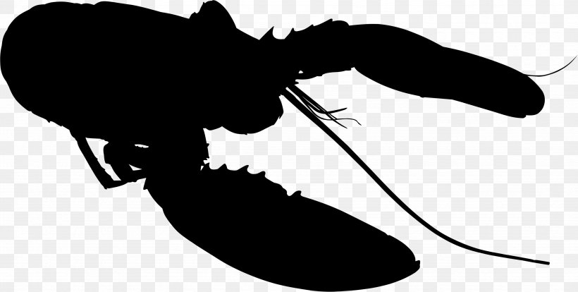 Insect Clip Art Silhouette Line Pest, PNG, 3505x1773px, Insect, Black M, Blackandwhite, Leaf, Membrane Download Free