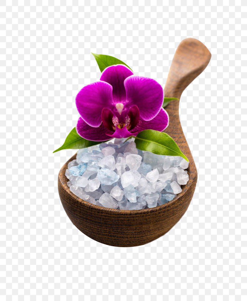 Salt Download, PNG, 667x1000px, Salt, Bowl, Flower, Flowerpot, Kosher Salt Download Free