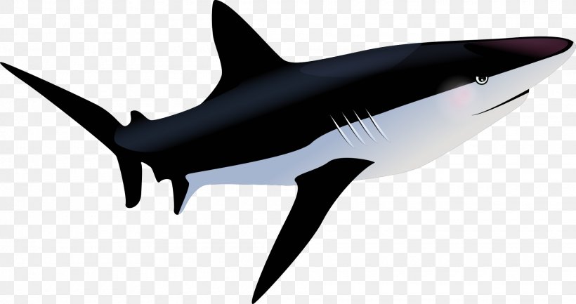 Tiger Shark Fish, PNG, 1920x1015px, Shark, Animation, Blue Shark, Cartilaginous Fish, Fin Download Free