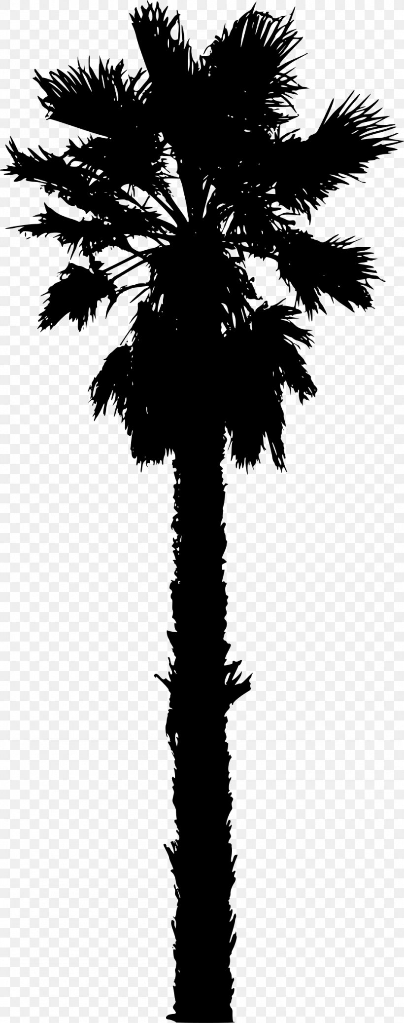 Arecaceae Date Palm Silhouette Clip Art, PNG, 949x2400px, Arecaceae, Arecales, Black And White, Borassus Flabellifer, Branch Download Free