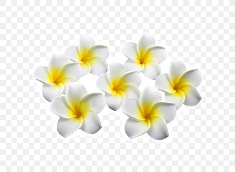 Artificial Flower Plumeria Rubra Clothing Accessories Barrette, PNG, 600x600px, Flower, Artificial Flower, Barrette, Clothing Accessories, Cut Flowers Download Free