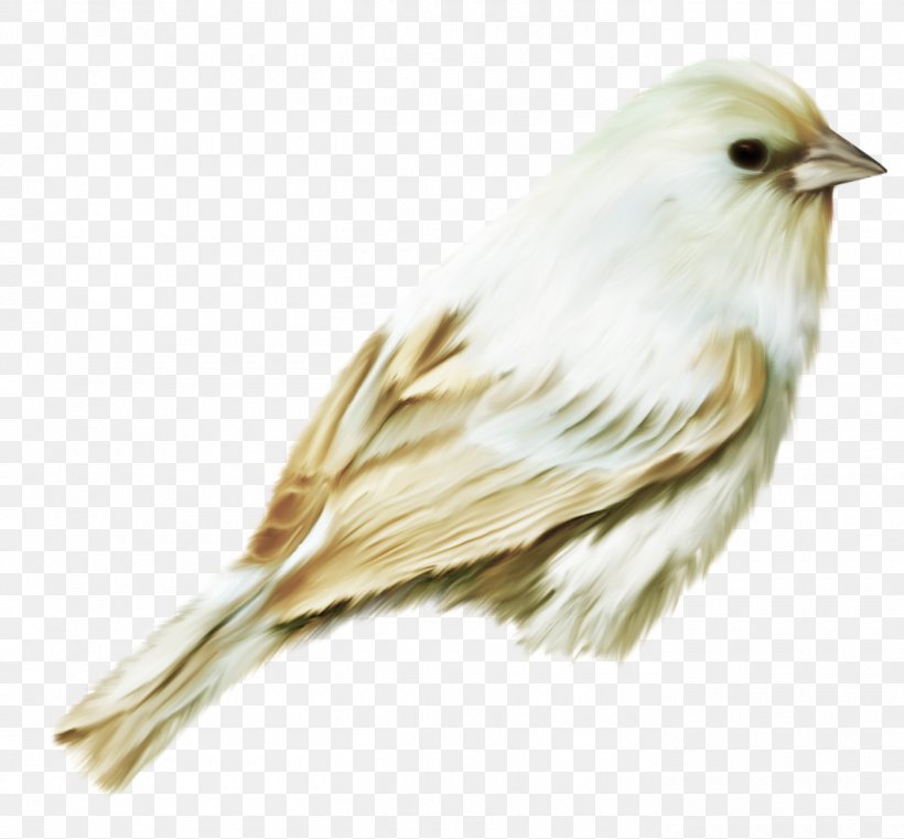 Bird Watercolor Painting Owl, PNG, 1400x1300px, Bird, Animal, Art, Beak, Drawing Download Free