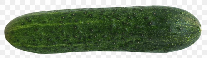 Pickled Cucumber Vegetable Food, PNG, 940x267px, Pickled Cucumber, Cucumber, Cucumber Gourd And Melon Family, Eating, Food Download Free