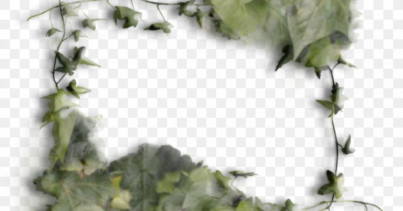 Picture Frames Graphic Design Photography, PNG, 1200x630px, Picture Frames, Branch, Christmas, Dream, Flora Download Free