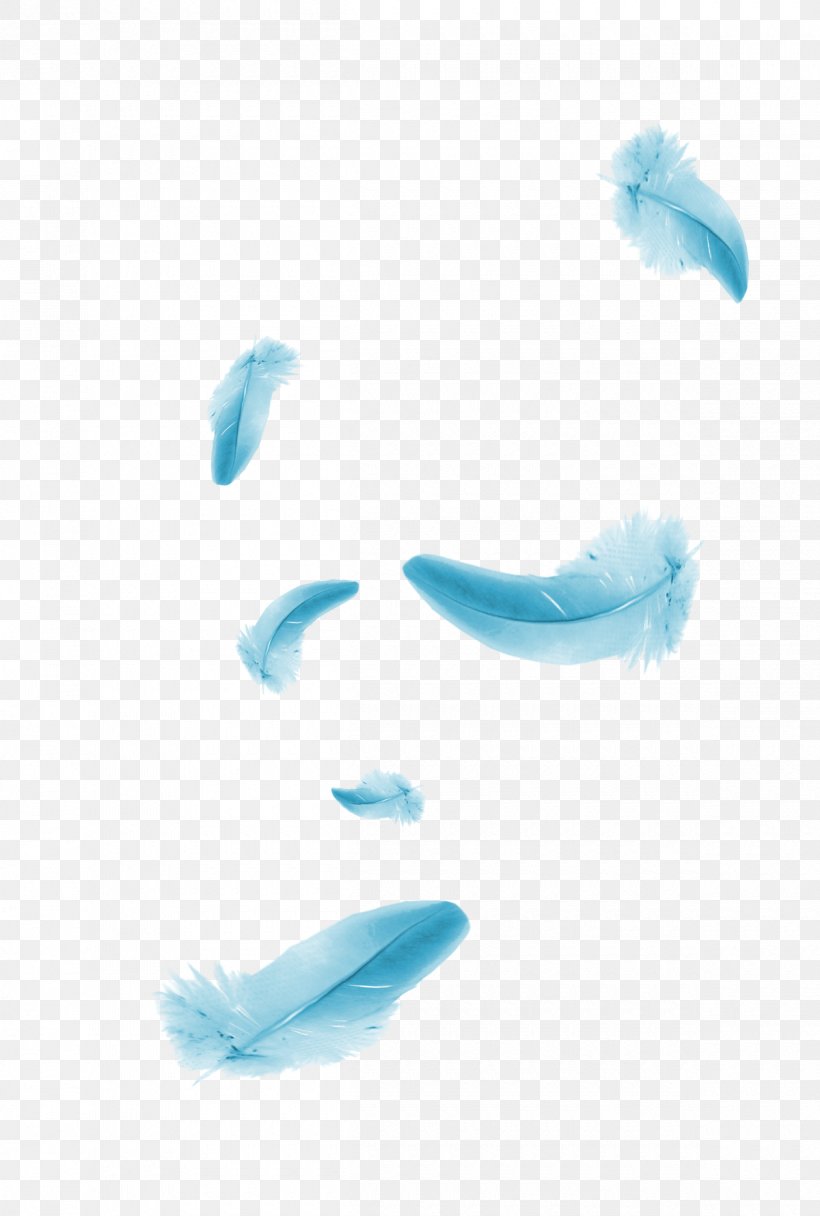 Blue Feather Designer, PNG, 1200x1780px, Blue, Aqua, Azure, Color, Designer Download Free