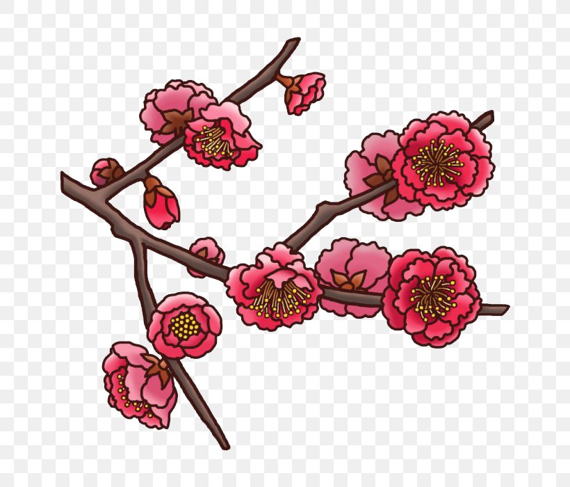 Plum Blossom Floral Design U5bd2 Flower, PNG, 700x700px, Plum Blossom, Blossom, Branch, Cashmere Wool, Cherry Blossom Download Free