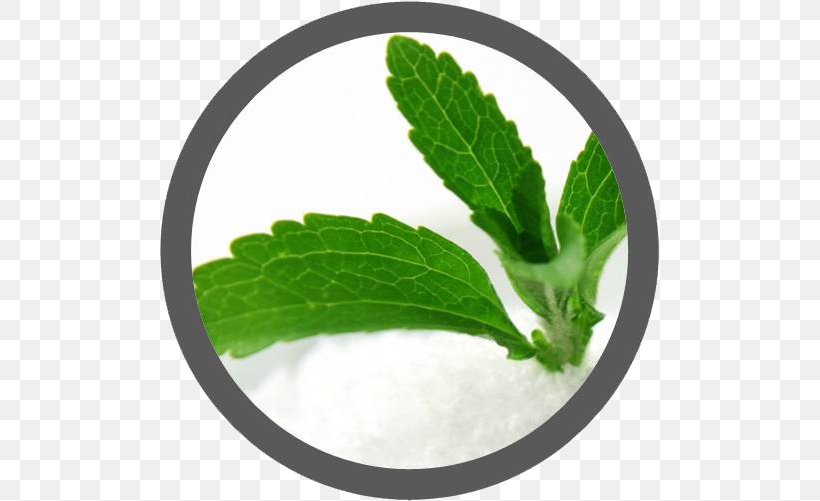 Stevia Candyleaf Extract Sugar Substitute Food, PNG, 501x501px, Stevia, Calorie, Candyleaf, Dietary Supplement, Elintarvike Download Free