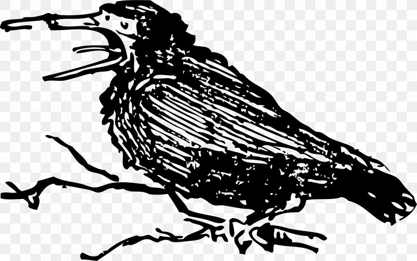 Bird Crow Beak Clip Art, PNG, 2400x1506px, Bird, Artwork, Beak, Black And White, Crow Download Free