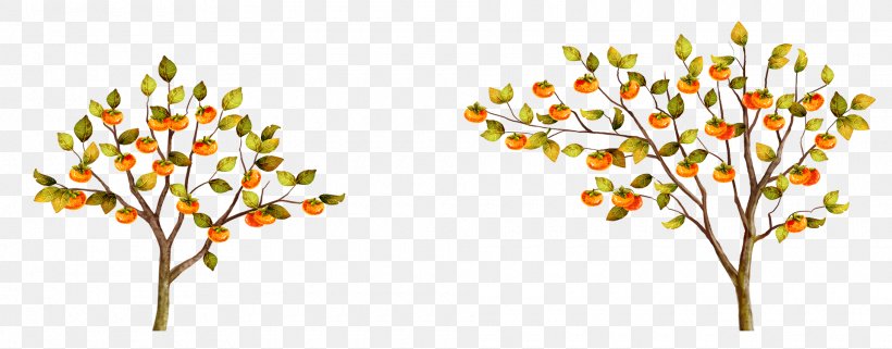 Japanese Persimmon Tree Fruit, PNG, 1920x752px, Persimmon, Art, Branch, Flora, Floral Design Download Free