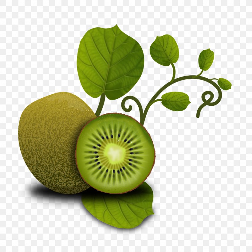Kiwifruit Food Health Orange, PNG, 1280x1280px, Kiwifruit, Dietary Fiber, Dieting, Food, Fruit Download Free