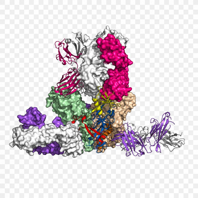 Antibody Glycoprotein Ebola Virus Disease, PNG, 1200x1200px, Antibody, Art, Cell, Complementarity Determining Region, Crystal Structure Download Free