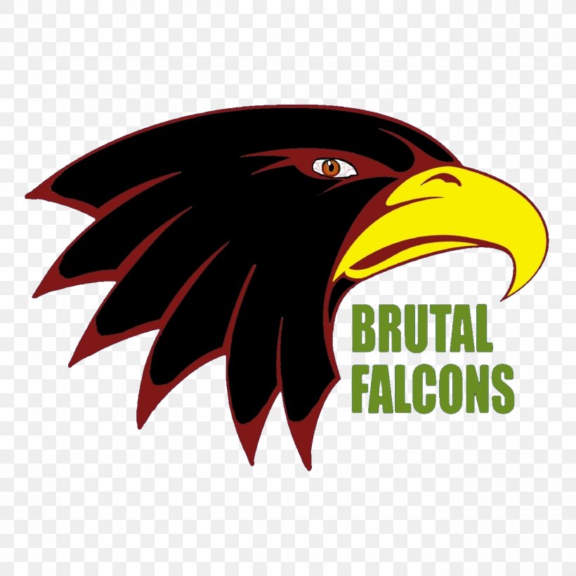 Bald Eagle Logo Beak Brand Font, PNG, 1300x1300px, Bald Eagle, Beak, Bird, Bird Of Prey, Brand Download Free