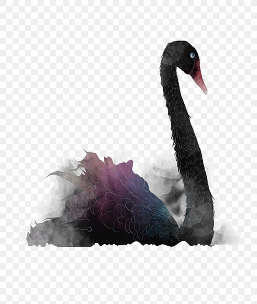 Black Swan Theory, PNG, 2902x3436px, Black Swan, Beak, Bird, Black Swan Theory, Cdr Download Free