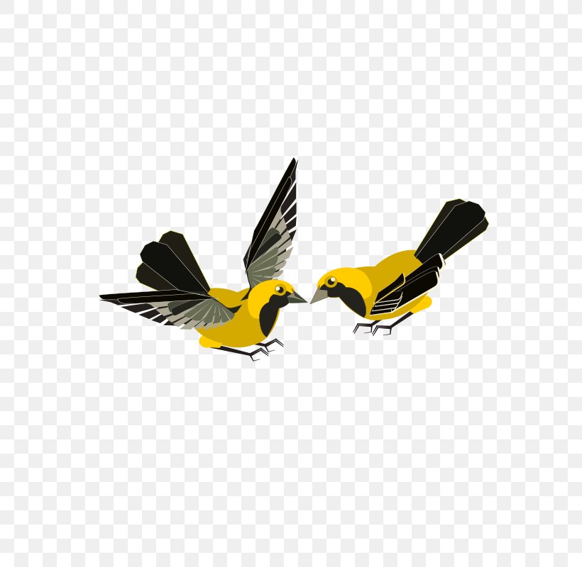 Clip Art Finches Flight Bird Vector Graphics, PNG, 566x800px, Finches, Beak, Bird, Feather, Flight Download Free