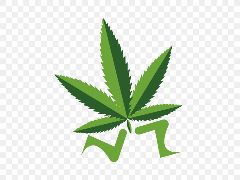 Nature's Way Delivery Image Cannabis Photograph Leaf, PNG, 770x616px, Cannabis, Depositphotos, Drawing, Hemp, Hemp Family Download Free