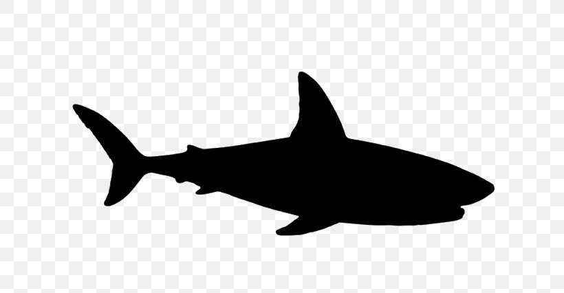 Requiem Sharks Vector Graphics Illustration Image, PNG, 640x426px, Shark, Animal Figure, Art, Carcharhiniformes, Cartilaginous Fish Download Free