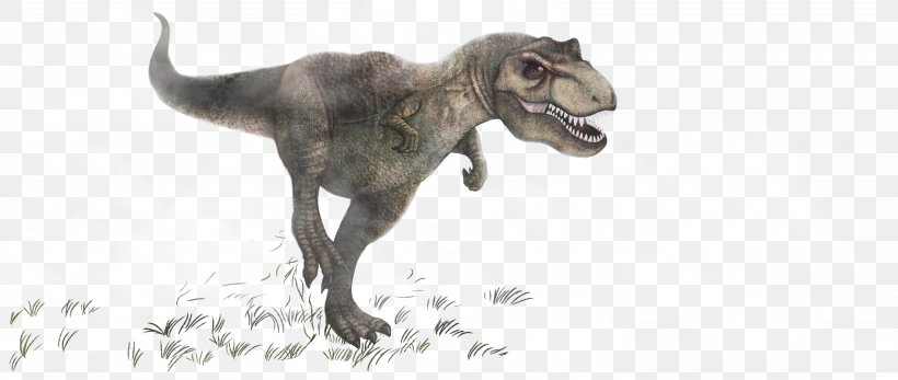 Tyrannosaurus Dinosaur Triceratops Carnivore, PNG, 8400x3564px, Tyrannosaurus, Animal, Carnivore, Cat Like Mammal, Dinosaur Download Free
