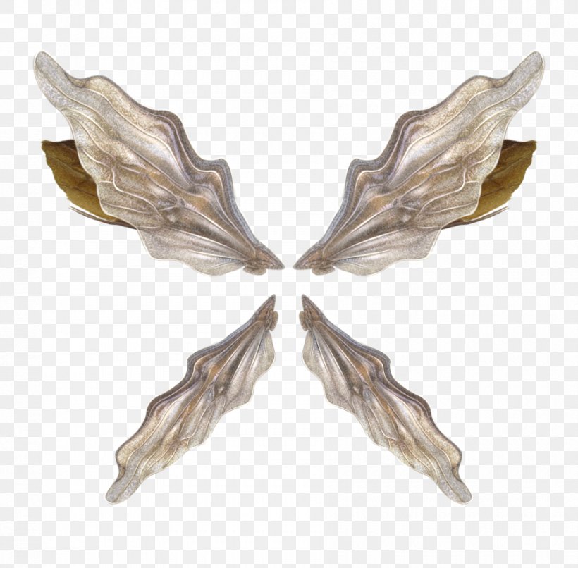 Wing Download Clip Art, PNG, 900x885px, Wing, Angel Wing, Data, Feather, Information Download Free