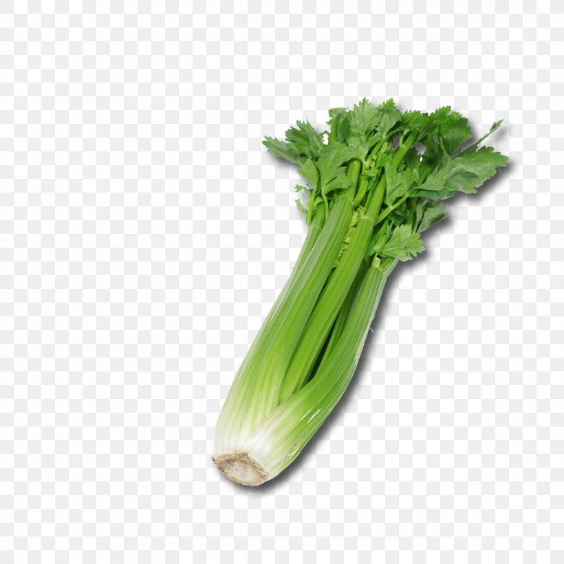 Celeriac Celery Remoulade Vegetable Fennel, PNG, 1200x1200px, Celeriac, Brassica Oleracea, Carrot, Celery, Chard Download Free